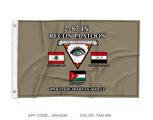 2-87IN Recon PLT Wall Flag - URm3Q9