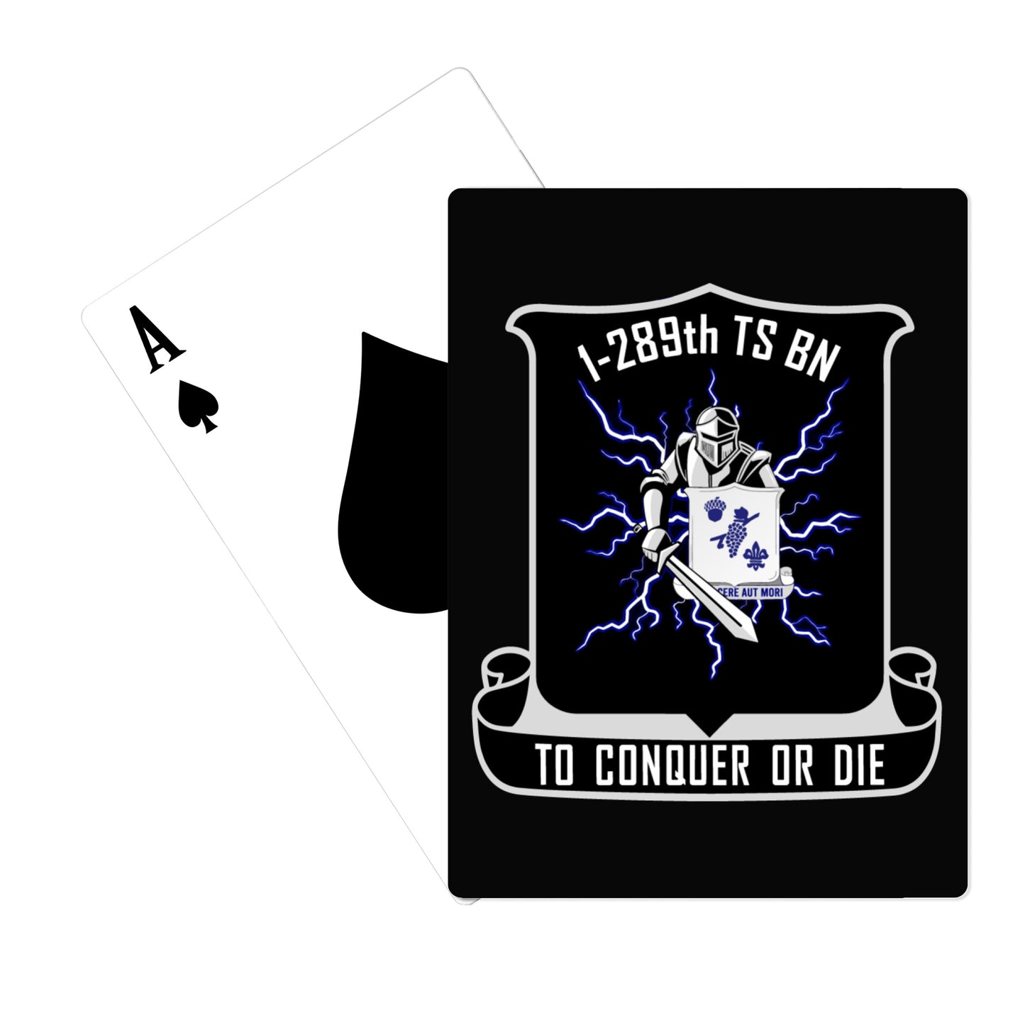 1-289th TSBN Playing Cards -  jsg6yi