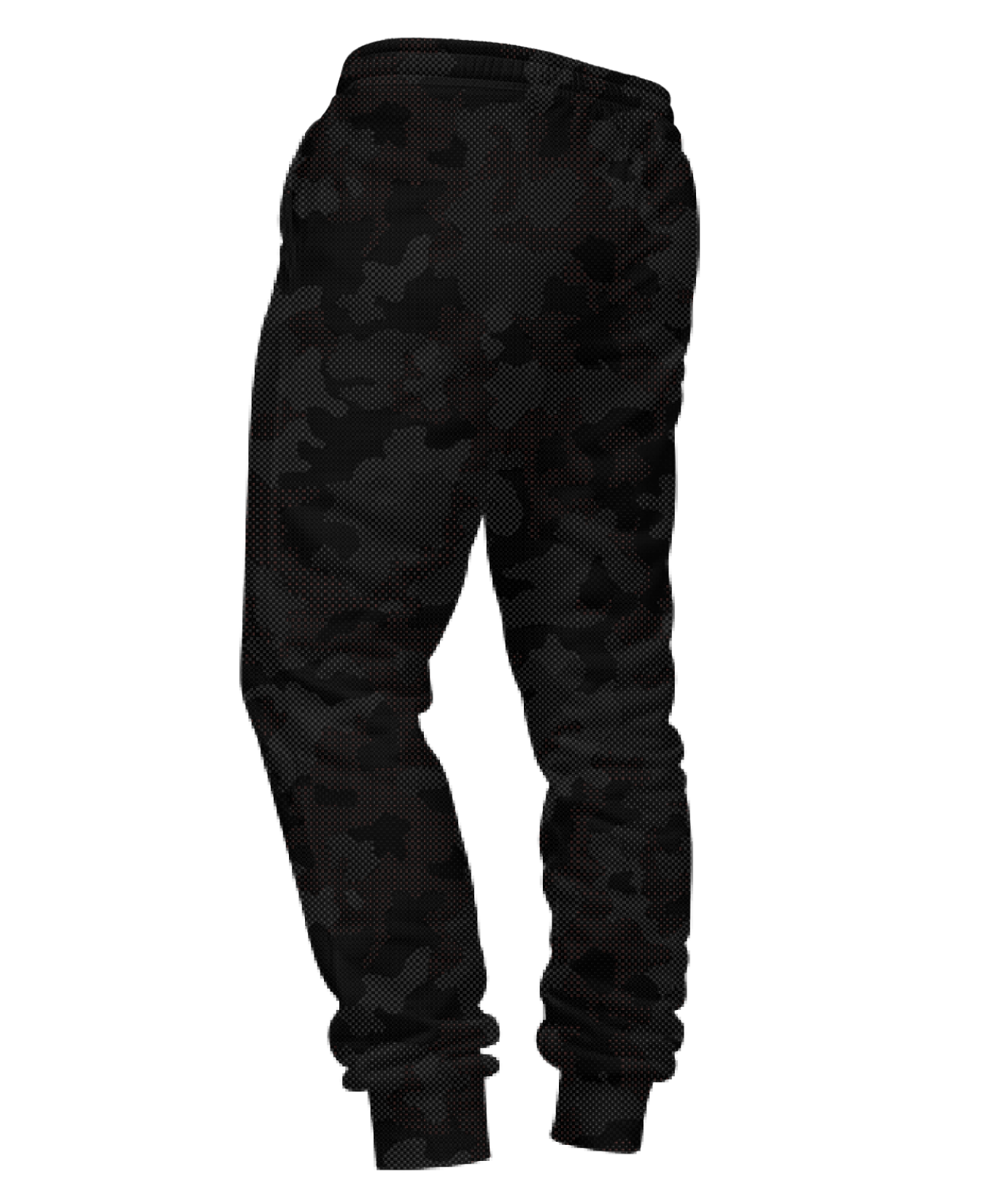 Camo 2025 champion sweatpants