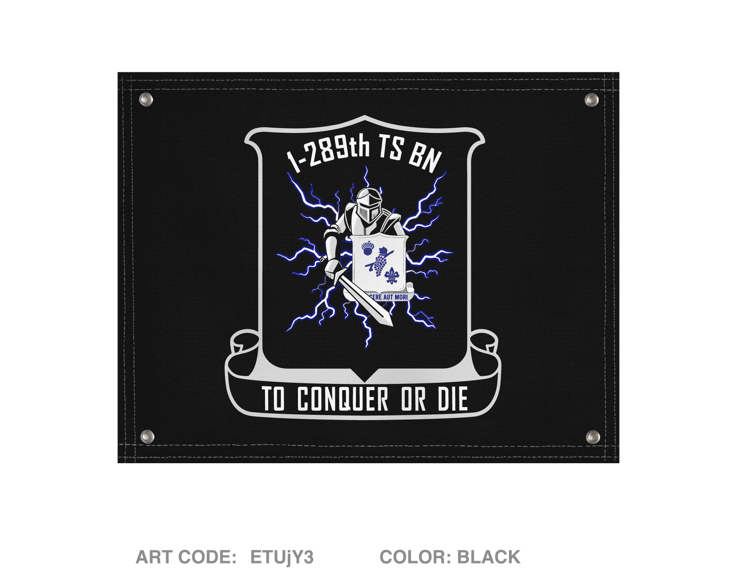 1-289th TSBN Banner Flag - ETUjY3