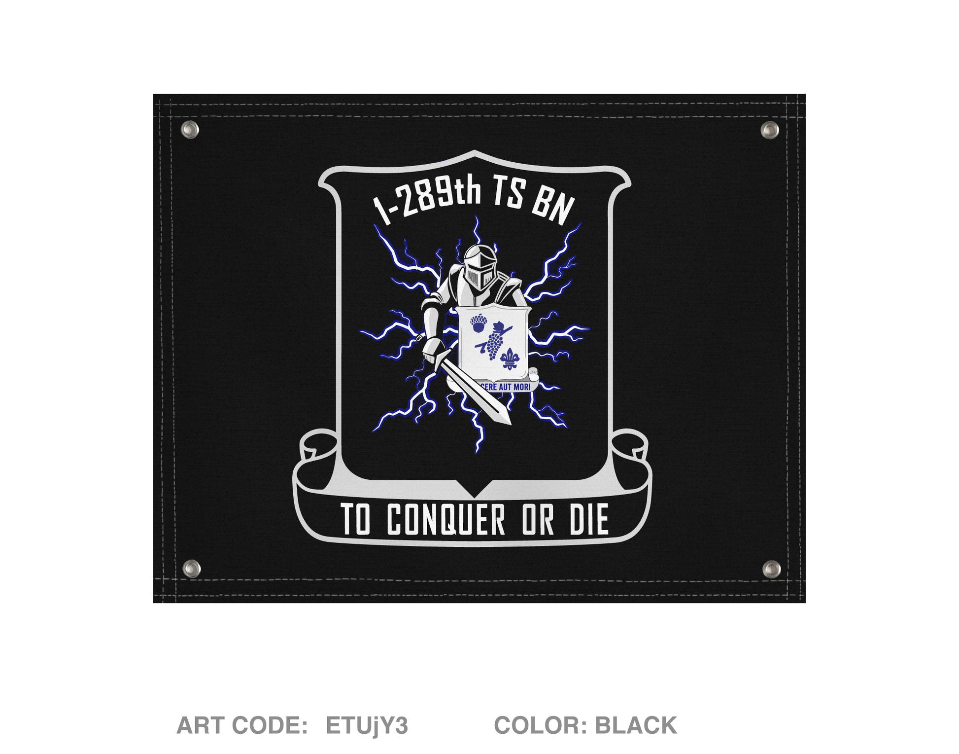 1-289th TSBN Banner Flag - ETUjY3