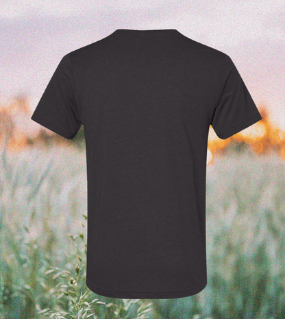 Breast Cancer Awareness Month Comfort Unisex Triblend SS Tee - brc008